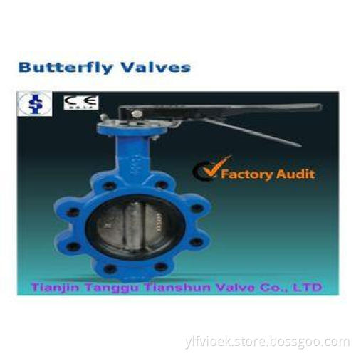 API Class 150 Lugged Butterfly Valve Double Flanged For Wat